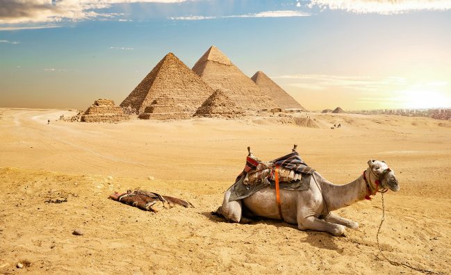 Day trip to Cairo from Hurghada