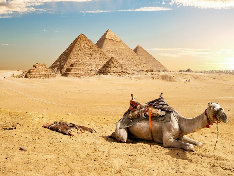 Day trip to Cairo from Hurghada