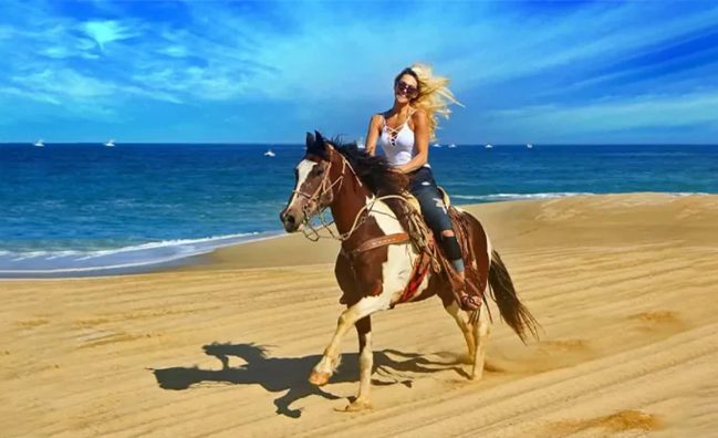 Horse Ride Sharm El-Sheikh