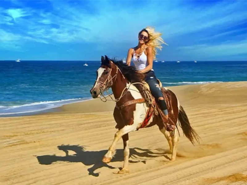 Horse Ride Sharm El-Sheikh