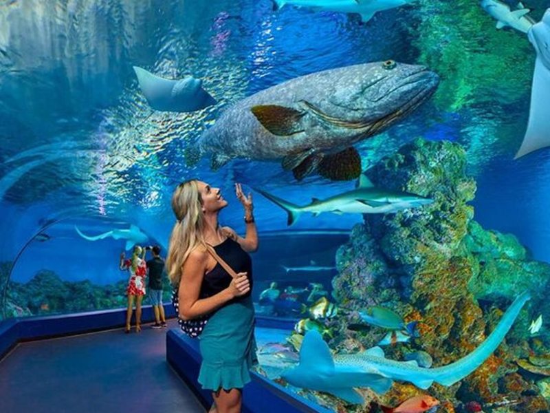 Grand Aquarium Experience