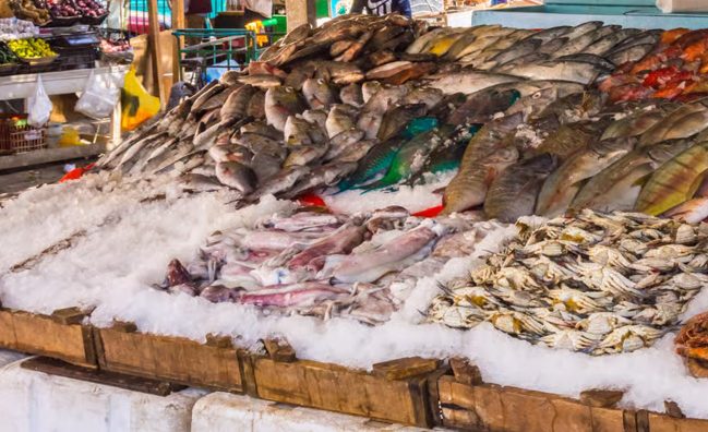 Fish Market Exploration