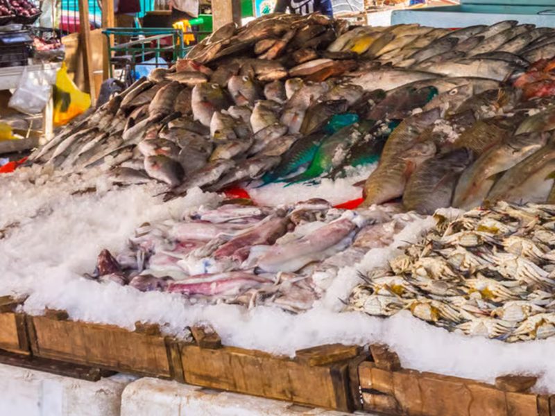 Fish Market Exploration
