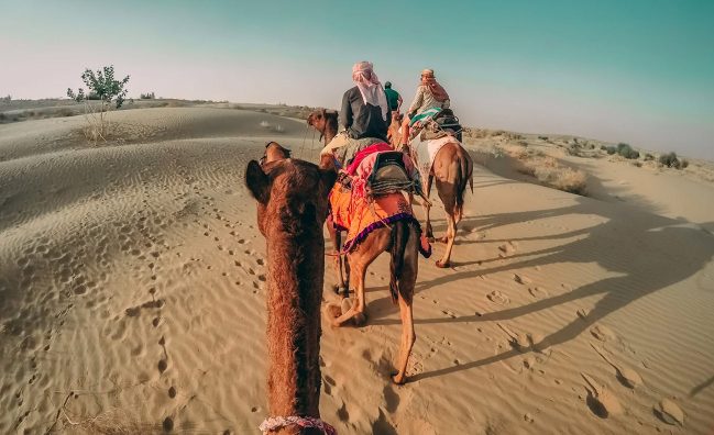 Family Safari from Hurghada