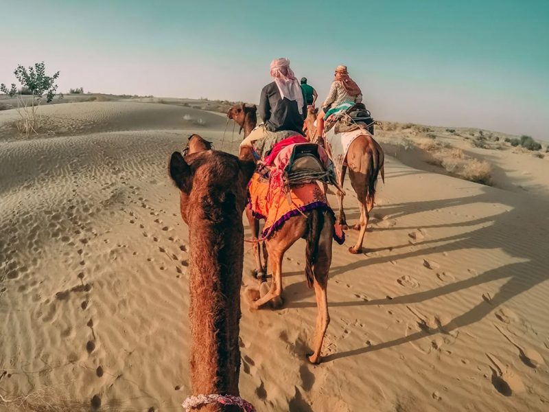 Family Safari from Hurghada